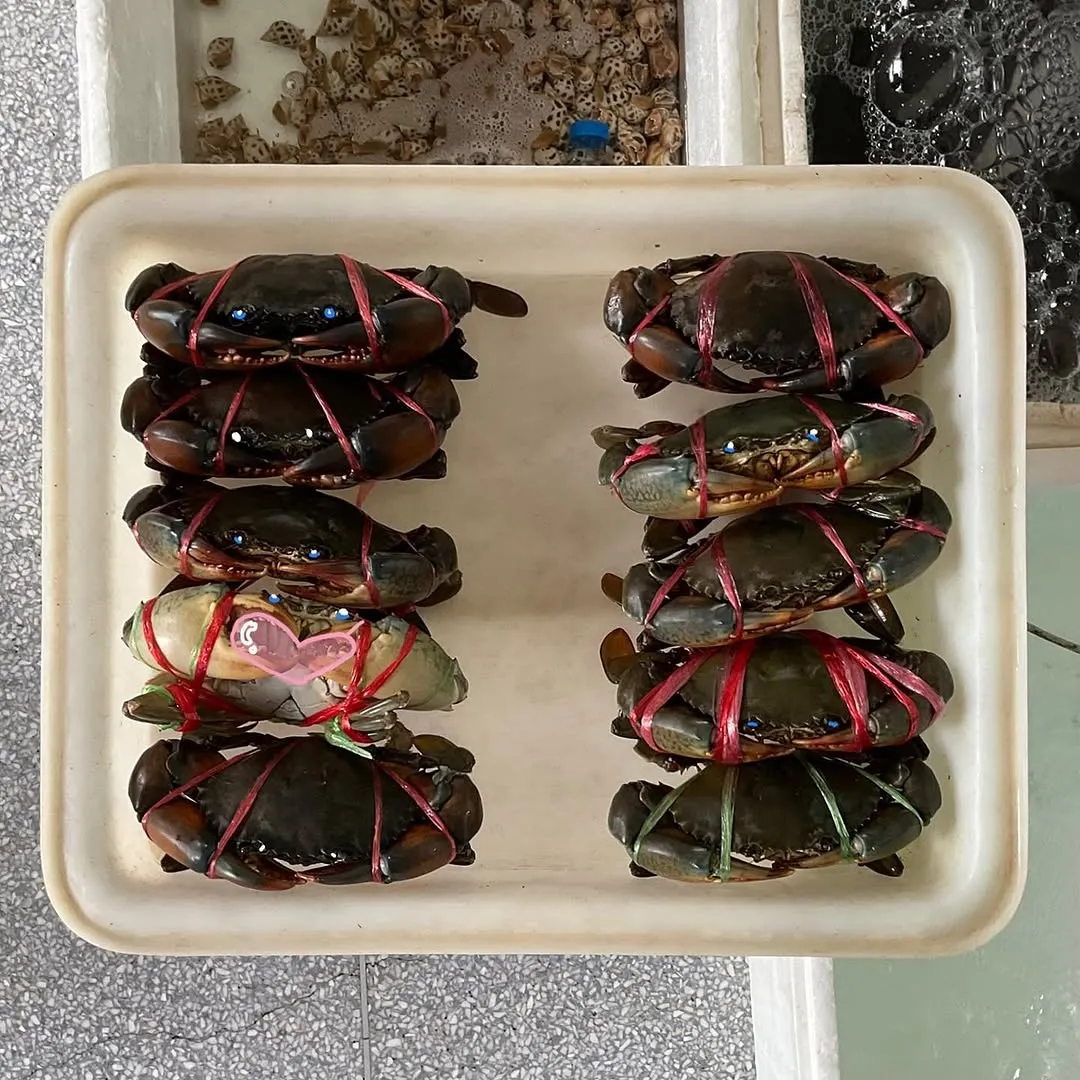 Exhibition photograph 10