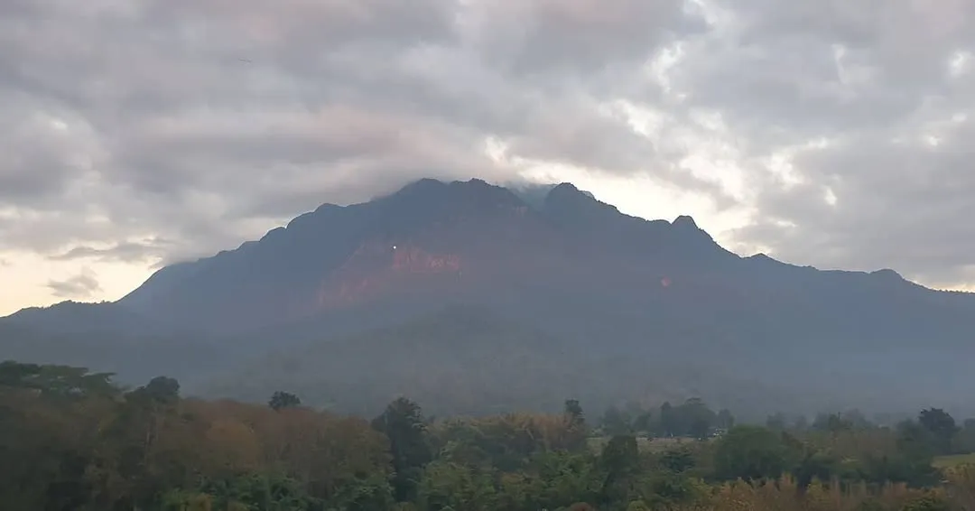 Exhibition photograph 17