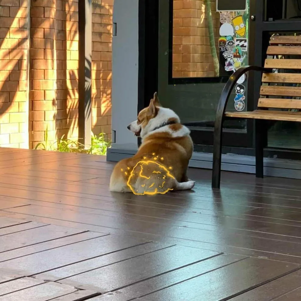 Exhibition photograph 21