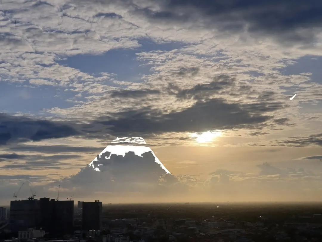 Exhibition photograph 29